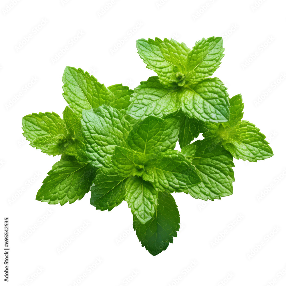 Mint on transparent background, Generative AI Mint on transparent background, Generative AI