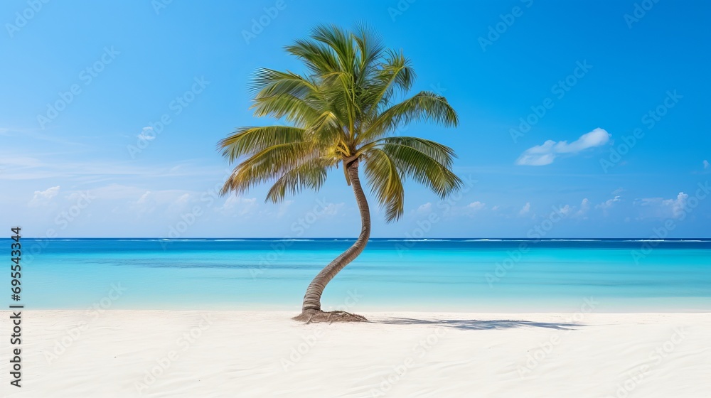 Eagle beach in aruba is a beautiful place to view a palm tree on the white sand with a beautiful view