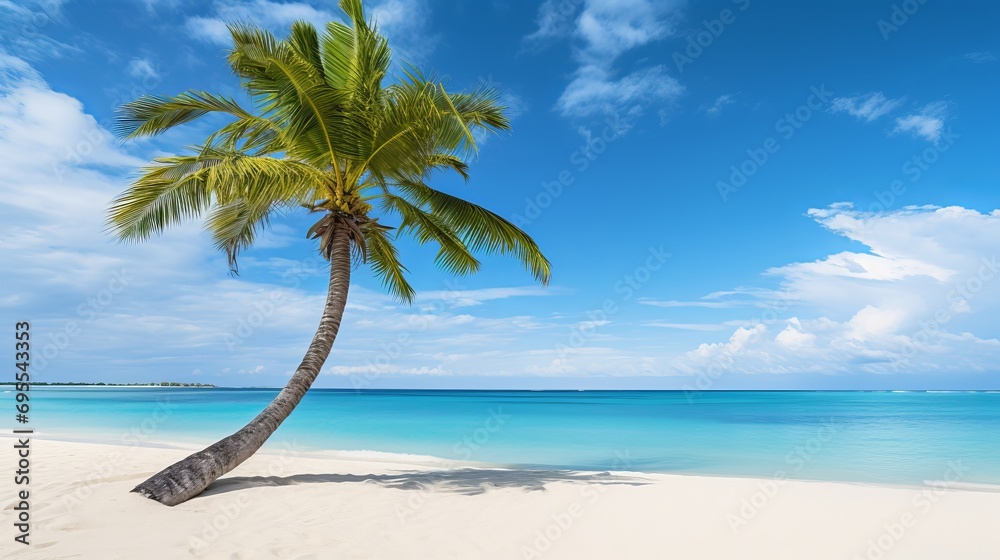 Eagle beach in aruba is a beautiful place to view a palm tree on the white sand with a beautiful view