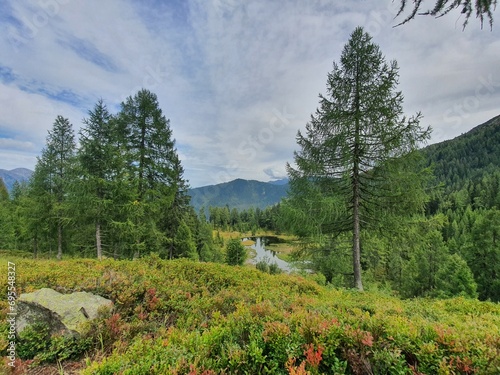 beautiful idyllic Austria: wonderful and picturesque landscape with forest and lake at Reiteralm in Styria, Austria photo