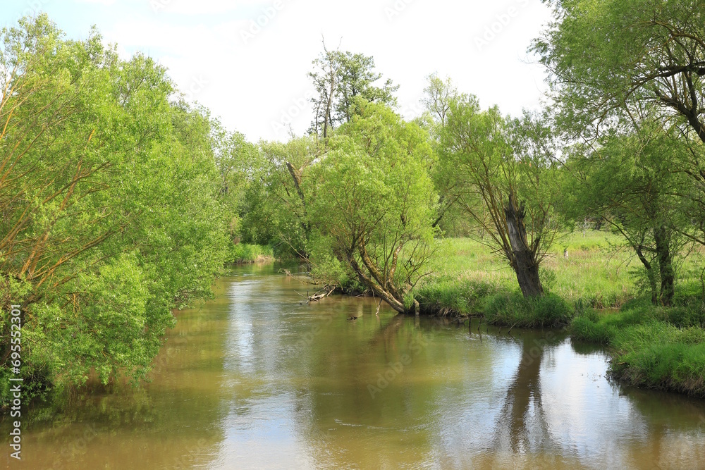 Die Schwalm bei Allendorf an der Landsburg