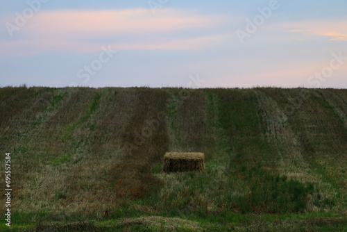 Fototapeta Naklejka Na Ścianę i Meble -  a filed in masuria with mowed hay