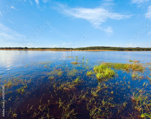Summer rushy lake view with some plants on water surface