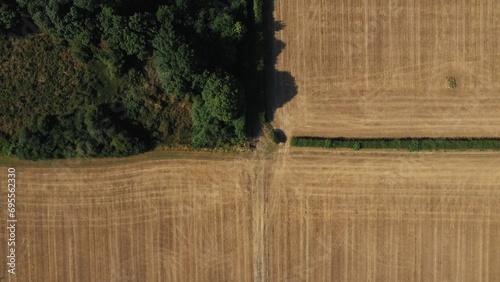 Top Down Aerial View of Green and Yellow Wheat Field Farm and Greenhouses. Golden Crops During Pasture Aerial View. Agricultural Work in Summer During Drought. Grain Crisis. Nature, Harvesting, Eco photo