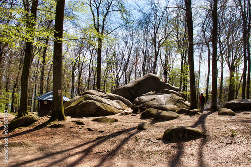 Lautertal, Germany - April 24, 2021: Hut in trees and rocks with shadows on a spring day at the top of Felsenmeer in Germany.