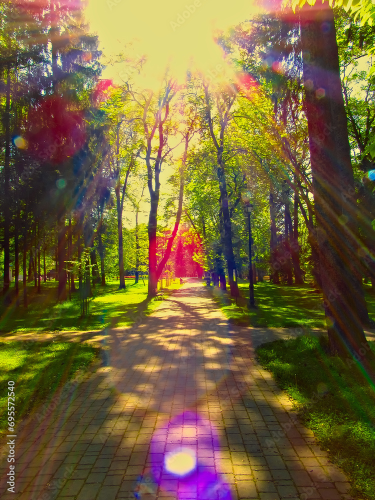 An alley in the park with a strong flare from the sun