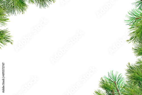 Christmas Tree Branch Photo overlays, Pine green branch isolated on transporent background, frame border , winter New Year, holiday, xmas, photo sessia, PNG