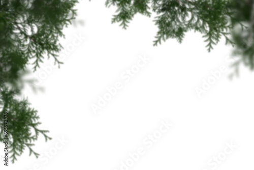 Christmas Tree Branch Photo overlays, Pine green branch isolated on transporent background, frame border , winter New Year, holiday, xmas, photo sessia, PNG