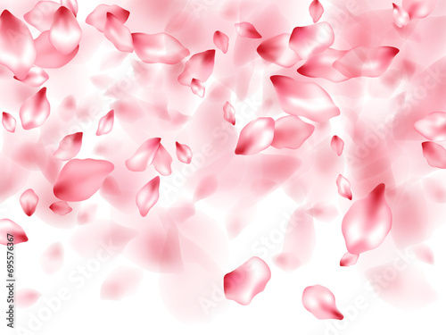 Pink sakura flower flying petals isolated on white vector background.