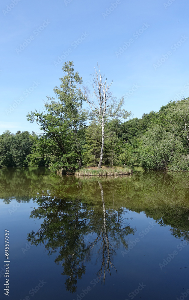 Fototapeta premium Maunzenweiher bei Frankfurt