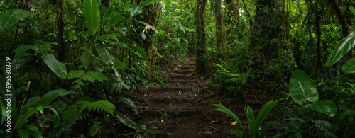 Tropical forest with very green vegetation © quickshooting