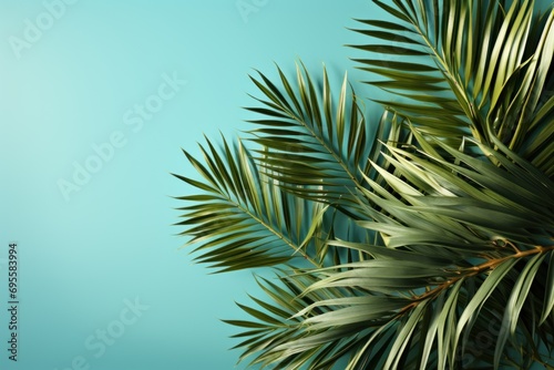  a close up of a palm tree branch with a blue sky in the backgrounnd of the image is a palm tree branch with green leaves and a blue sky in the background.