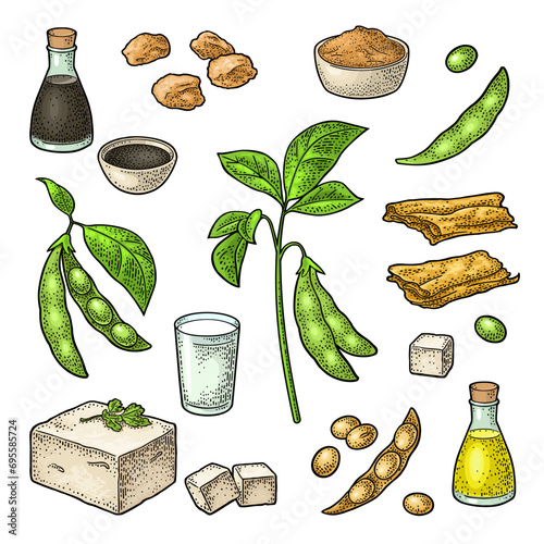 Soy food set. Miso, tofu skin, soybean, sauce