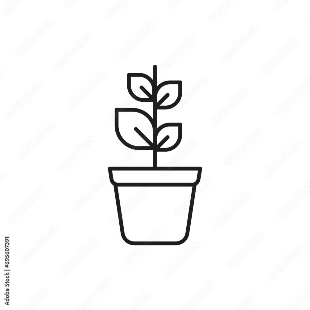 Plant in the pot icon, isolated on white background, vector illustration