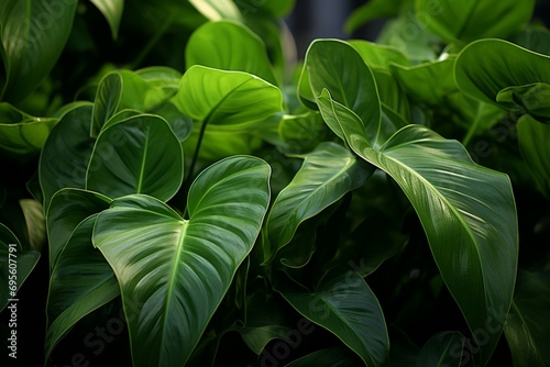 Dynamic beauty Captivating image of green leaves gracefully suspended in the air