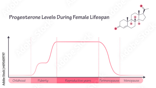 Progesterone levels during the female lifecycle vector illustration infographic