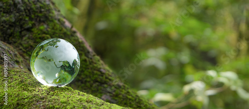 Crystal Earth In Forest With Ferns And Sunlight - Environment, save clean planet, earth day, conservation and ecology concept. Earth Day banner with copy space. Net zero emissions. ESG.