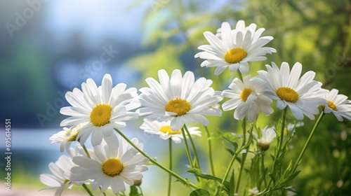  a close up of a bunch of daisies in a vase with a blurry background of trees and a body of water in the distance.