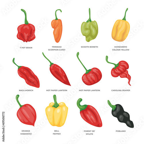 different hot pepper set collection isolated on white background, Cartoon peppers. Sweet red, yellow and hot peppers, bell pepper juicy farm vegetables, pepper slices for culinary products and recipes