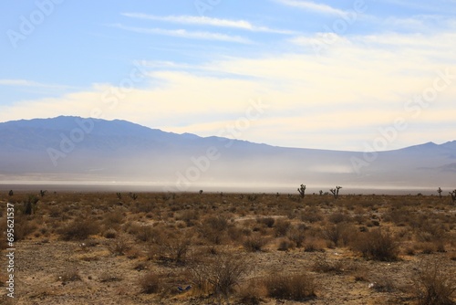 Dried lake basin in the Mojave Desert 