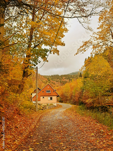 Fototapeta Naklejka Na Ścianę i Meble -  house in autumn