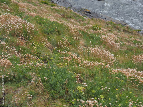 Boscastle - ein Küstenort in der Gemeinde Forrabury im Norden der englischen Grafschaft Cornwall an der Atlantikküste. Der Ort liegt in einem schmalen Tal an der Mündung der Flüsse Jordan, Valency und photo