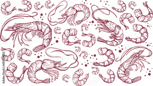 Hand drawn isolated seamless vector pattern of shrimps. Shrimps and langoustines on a white background. Prawns. Seafood, food vintage illustration. photo