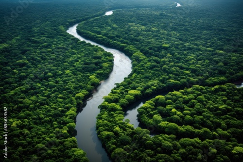 Aerial view of a lush rainforest with a meandering river.