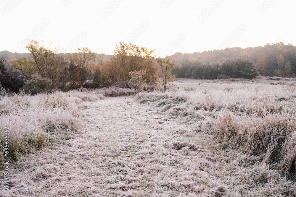 German Shorthaired Pointer Grouse Hunting German Shorthaired Pointer Grouse Hunting