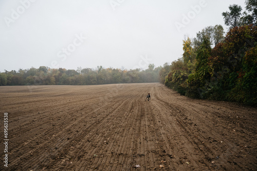 German Shorthaired Pointer Grouse Hunting