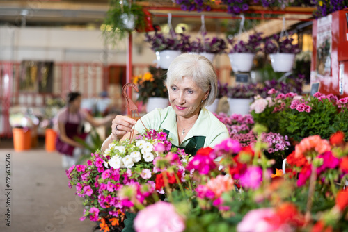 Woman flower seller holding petunia in her hands in flower shop © JackF