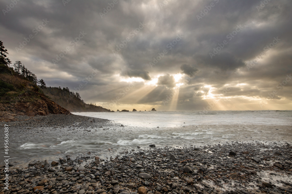 Fototapeta premium Oregon Coast