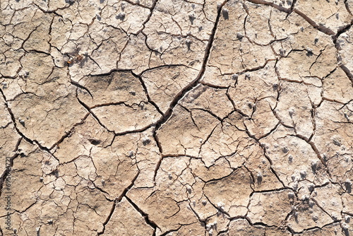 cracked soil background in the dry season Lack of water and food photo