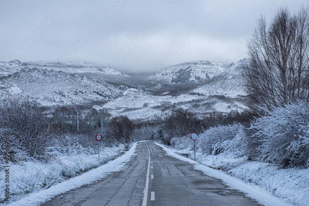 Fototapeta premium road in a snowy landscape, winter concept
