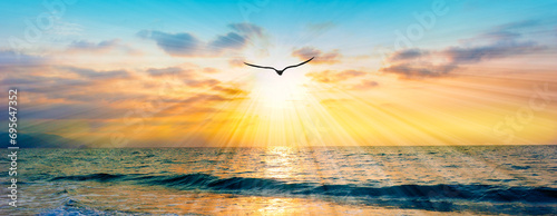 Fotografia Sunset Bird Flying Silhouette Soaring Colorful Romantic Sunrise Sky Uplifting Ho