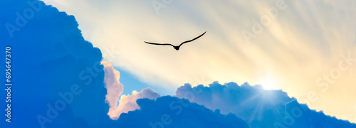Sunset Bird Flying Silhouette Soaring Divine Flight Sky Hope Sunrise Banner Header © mexitographer