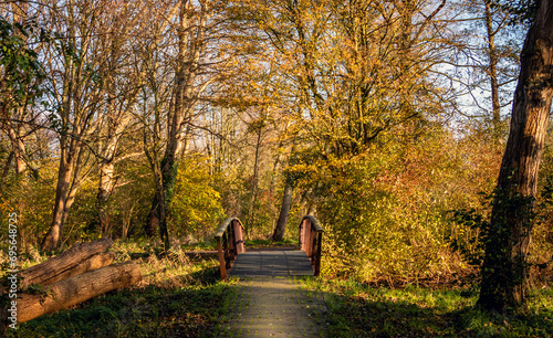 autumn in the park