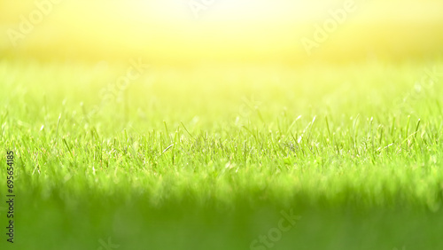 Green field and bright sun background. Selective focus, blurred background. 