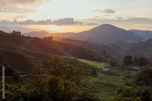Mountainous sunrise scene. Boh Tea farm plantation in Cameron Highlands  Pahang  Malaysia