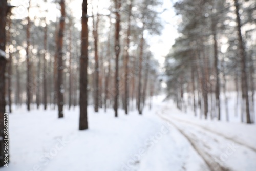 Beautiful snowy forest in winter, blurred view