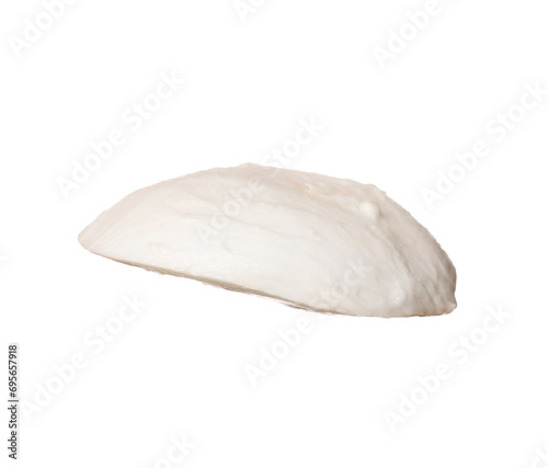 Slice of mozzarella cheese isolated on white