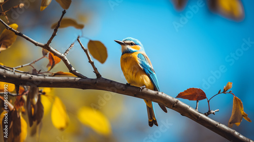 a small bird perched on a branch of a tree photo