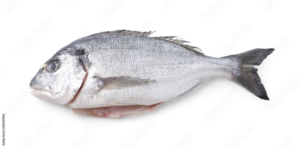 Fresh raw dorado fish isolated on white, top view Fresh raw dorado fish isolated on white, top view