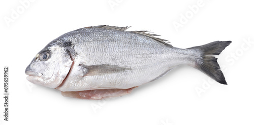Fresh raw dorado fish isolated on white, top view
