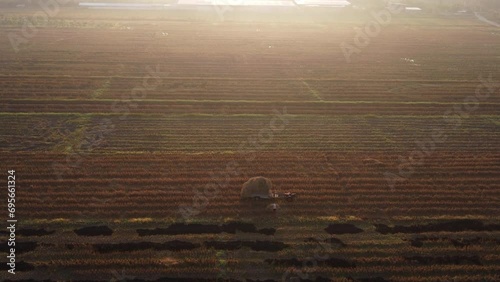 Aerial view of farmer using pitchfork to load hay onto trailer with tractor from rural farm. Farmer tractor with trailer transporting overloaded hay in the field. photo