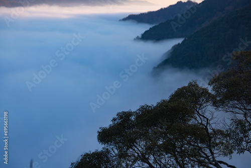 A sea of clouds at the top of the mountain in Kyoto telephoto shot photo