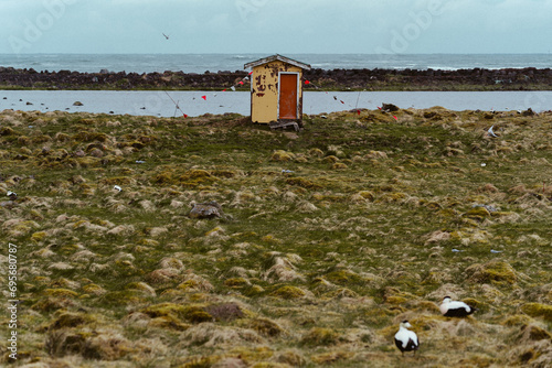 Fishing shack in coastal landsacape in southwest Iceland 