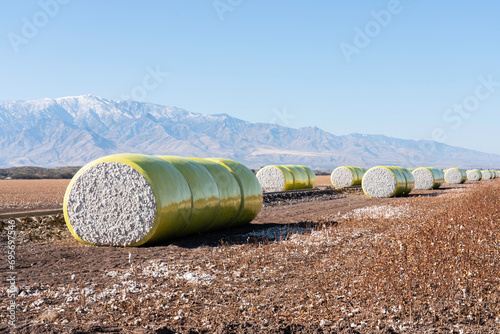 Foto Bales of Harvested Cotton
