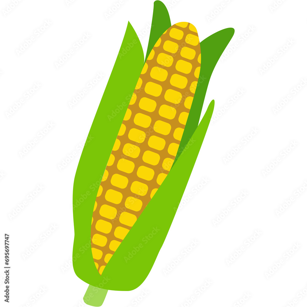 Corn Illustration Corn Illustration