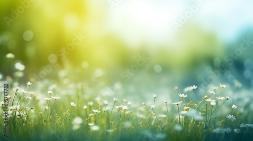 Spring grass blurred background
